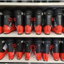 알파인 팬션 이미지