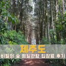 오름A | 제주 비밀의 숲 입장료 포토존 총정리, 안돌오름 스냅사진 후기