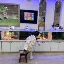 해피아이유치원 이미지