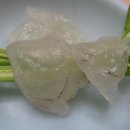해미식당 이미지