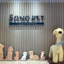 펫라운지(PET LOUNGE) | 홍천 반려견동반 가족여행 소노펫 비발디파크 골드PetClub룸