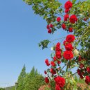 중동2로 12 이미지