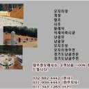 대부장묘