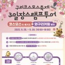 축제투어