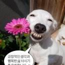 큐티 네이버블로그