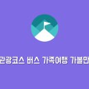 우도 관광코스 버스 가족여행 제주도 가볼만한곳 드라이브 코스