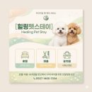스테이애견샵