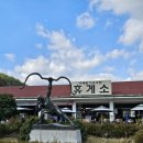 전남 보성 맛집 한식뷔페 허브와 야채