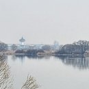 노랑등대 앞 이미지