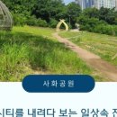 만평부동산중개사무소 이미지