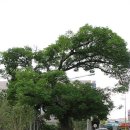 강진우체국 이미지