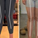 아라핏짐 이미지