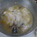 모아가꼬