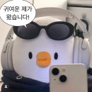 해브(HAVE)