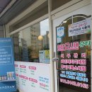 인디고뷰티