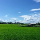 한림정 - 창원시 마산합포구 | 한림정