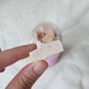 바다고양이식탁 이미지