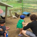 빗돌배기마을 이미지