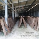 신기태양광발전소 이미지