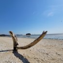 대교다방 - 논산시 대화로 55 | 대교다방