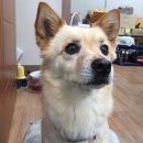 홈플러스 주식회사 성서점 이미지