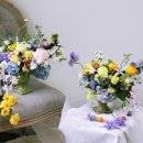 원예복지사 이미지