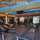 바카티오 이미지