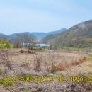 애재원 이미지