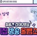 쏠전자올겐