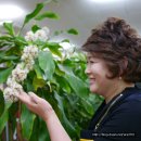 진국명국 이미지