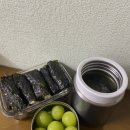 [일상log] 스타벅스, 피크닉, 백신