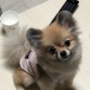 토베스트 동물병원 이미지