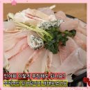 2인전 | 산본 맛집 횟집 속초어시장 목포민어2인세트 민어회 민어전 민어탕 엄마랑 몸보신 후기