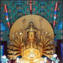 청샘가 | 주마간사 (走馬看寺) 사찰기행 천은사 (泉隱寺)