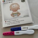 아빠는닭쟁이내막내딸떡볶이 | [임신일기] ~ 5w3d 임신 극극극초기 증상부터 임신확인까지