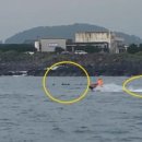 돌고래공인중개사사무소 이미지