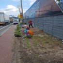 모화1리 이미지