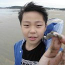 몽산포오토캠핑장 이미지