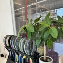 써니스크린 | 내가 처음 도전한 테니스, 써니테니스 레슨 &amp; 볼머신 후기 #수원스크린테니스 #수원실내테니스 #수원...