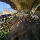 여행-추억만들기 이미지