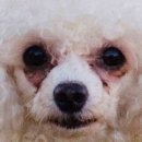 지엔동물병원 이미지