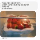 달달민박 | [논산별곡]논산훈련소 근처 민박 독채 후기(내돈내산)