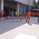 아이마루어린이집 이미지