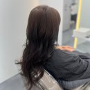 카라헤어염색 | 진주 가좌동 미용실 하바나헤어 뿌리염색 후기 하나실장님 추천