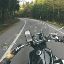 천금목장 이미지