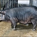 산우리축산 이미지