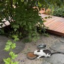 혜원마트 | 펜션혜원 | 힐링 가득한 춘천 펜션혜원 102호 숙박 후기🌱