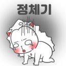 씨엔에스디