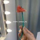 루미홀릭