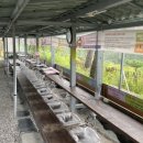 항노화힐링누리원 네이버블로그